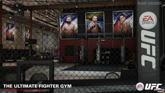 UFC the_ultimate_fighter_gym