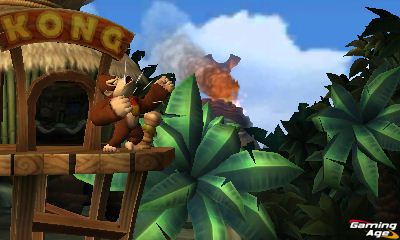 Donkey Kong Country Returns 3D_1