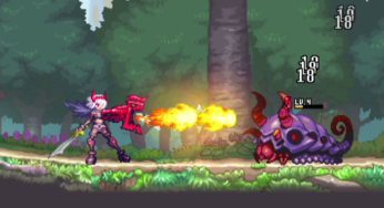 Dragon Marked for Death review for Nintendo Switch