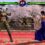 Virtua Fighter 5 R.E.V.O. World Stage completely covers the console landscape as it arrives on the Switch 2 on March 26th