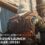Ahoy assassins, Assassin’s Creed Black Flag Resynced has launched worldwide